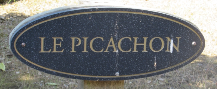 Lé Picachon