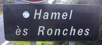 Hamel ès Ronches